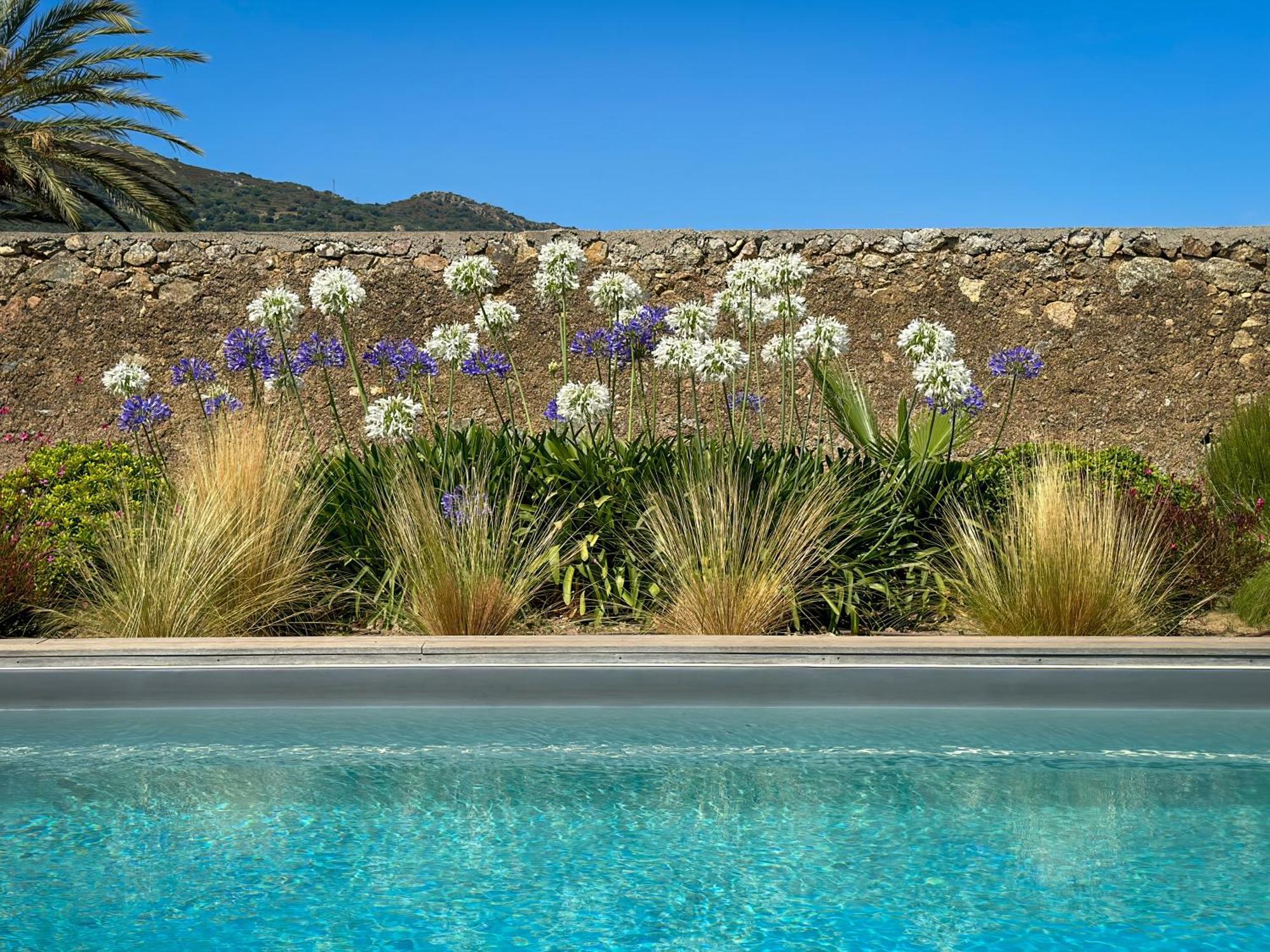 Domaine Villas Celia Μοντιτσέλο Εξωτερικό φωτογραφία