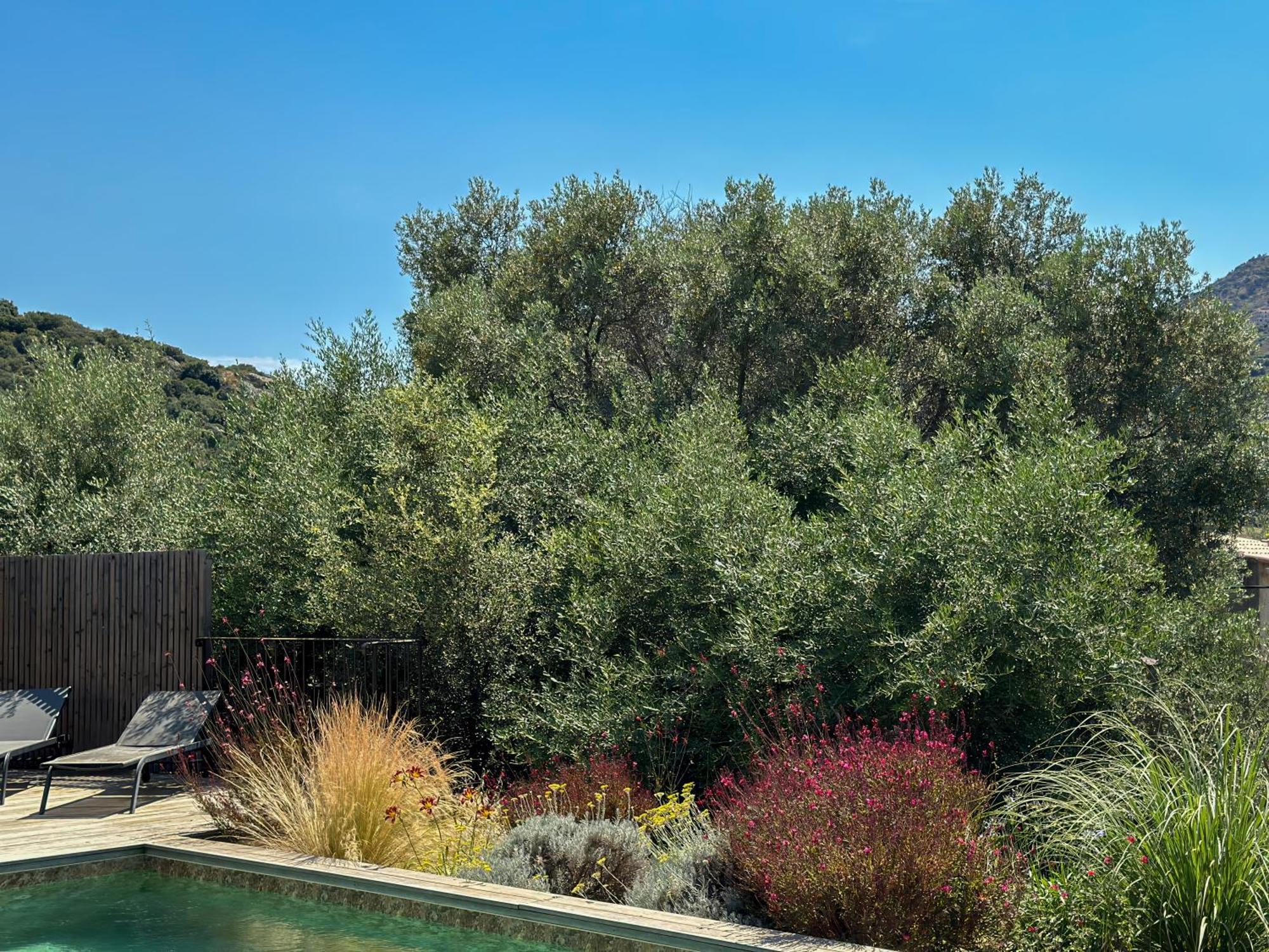 Domaine Villas Celia Μοντιτσέλο Εξωτερικό φωτογραφία