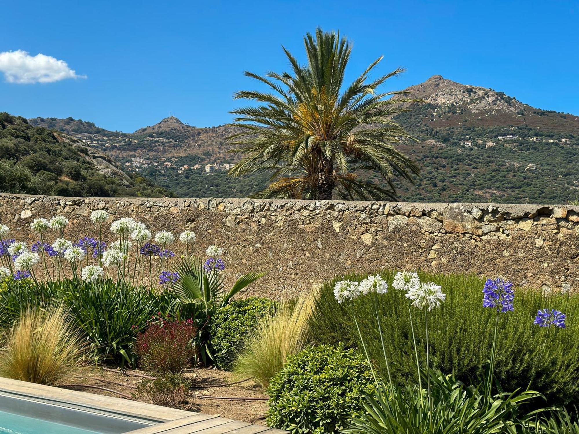 Domaine Villas Celia Μοντιτσέλο Εξωτερικό φωτογραφία