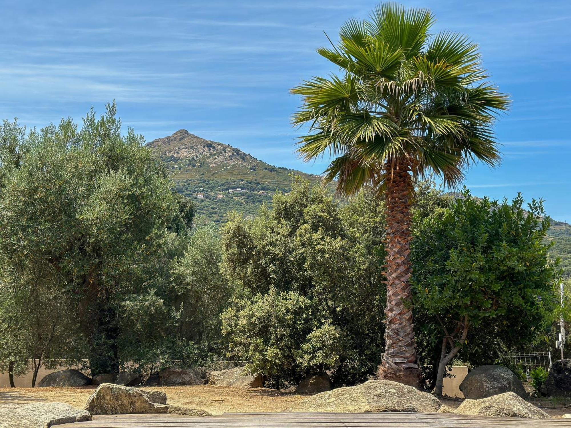 Domaine Villas Celia Μοντιτσέλο Εξωτερικό φωτογραφία