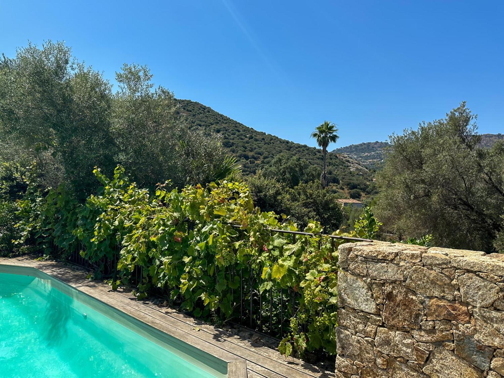Domaine Villas Celia Μοντιτσέλο Εξωτερικό φωτογραφία